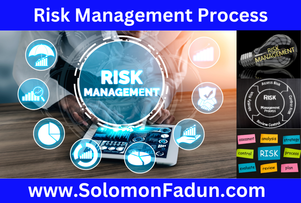 Risk management process